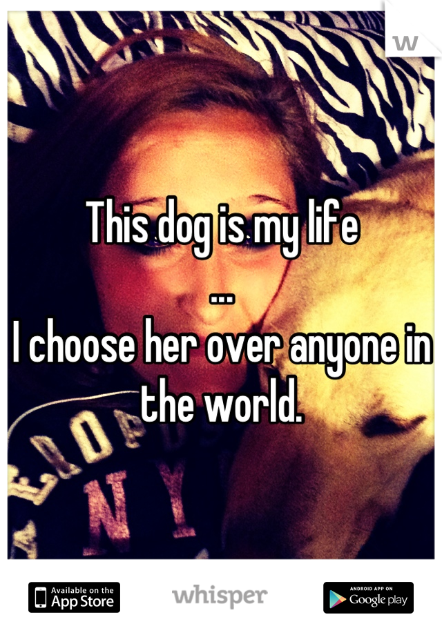 This dog is my life
...
I choose her over anyone in the world.