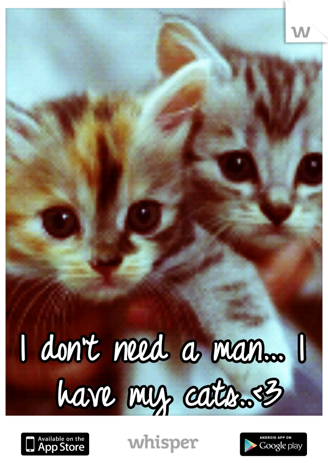 I don't need a man... I have my cats..<3