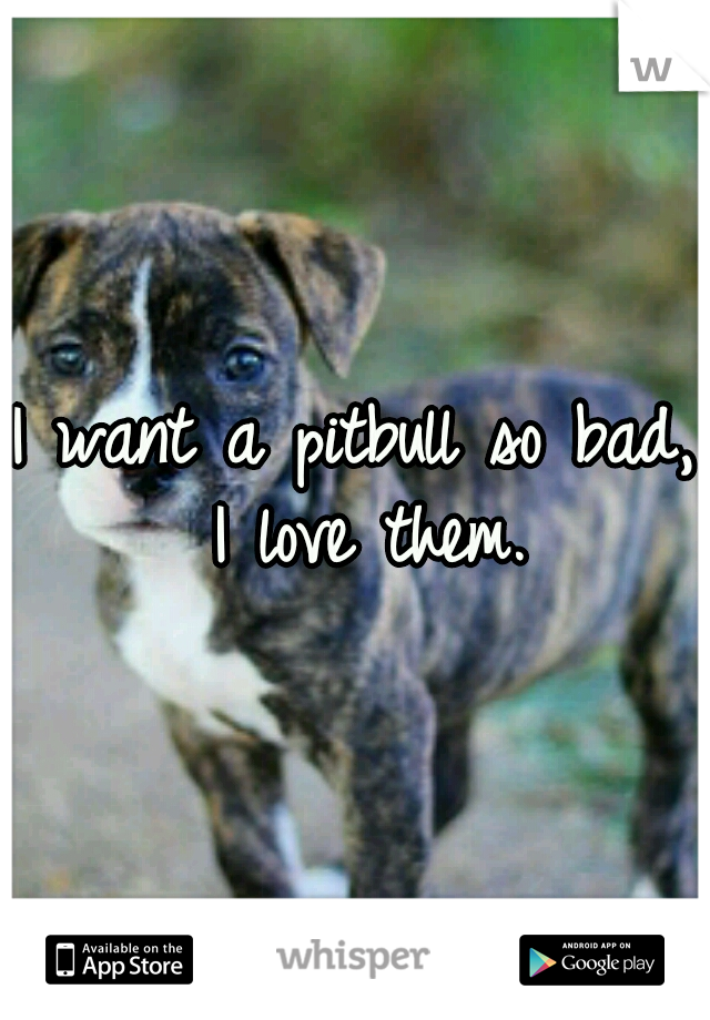 I want a pitbull so bad, I love them.