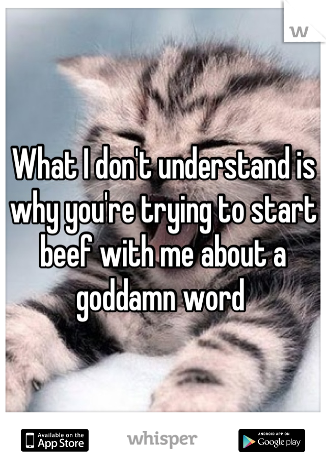 What I don't understand is why you're trying to start beef with me about a goddamn word 