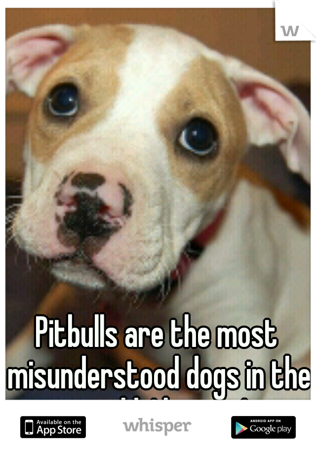Pitbulls are the most misunderstood dogs in the world. I hate it!