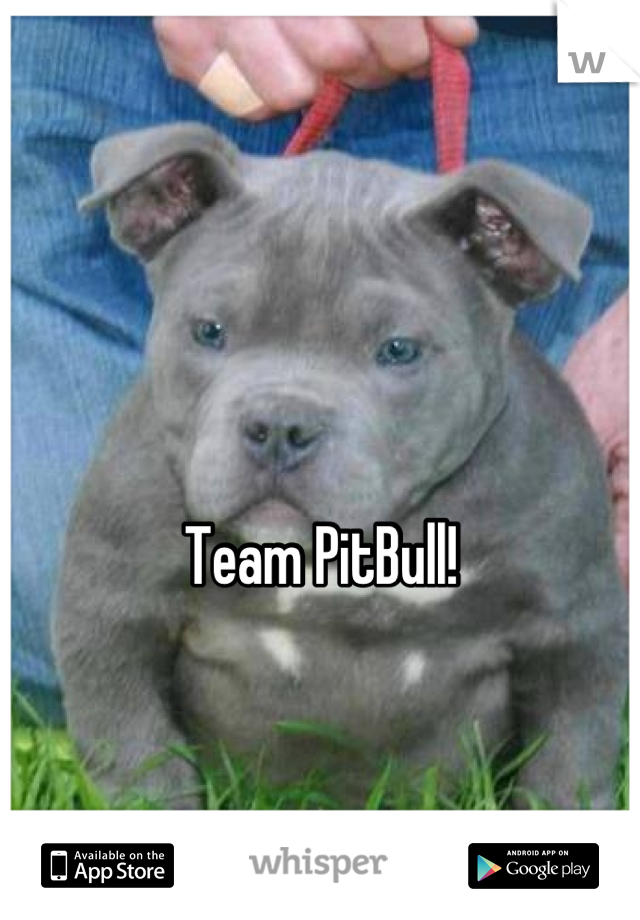 Team PitBull!