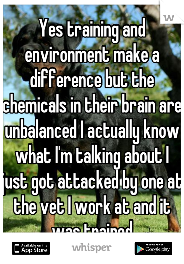 Yes training and environment make a difference but the chemicals in their brain are unbalanced I actually know what I'm talking about I just got attacked by one at the vet I work at and it was trained