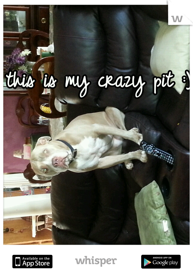 this is my crazy pit :)