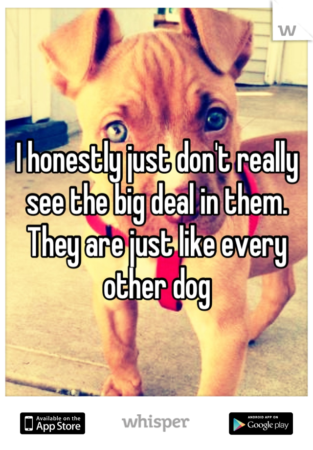 I honestly just don't really see the big deal in them. They are just like every other dog