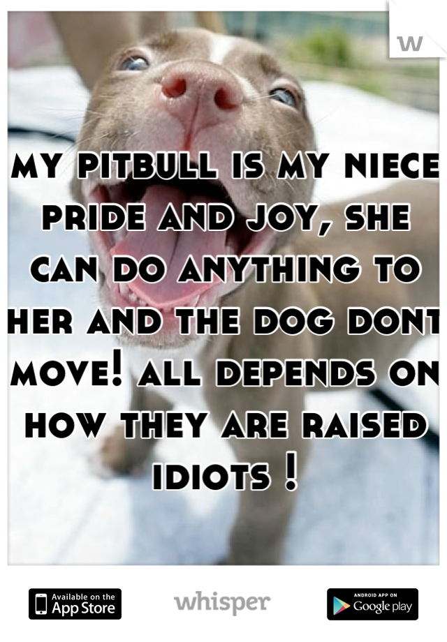 my pitbull is my niece pride and joy, she can do anything to her and the dog dont move! all depends on how they are raised idiots !