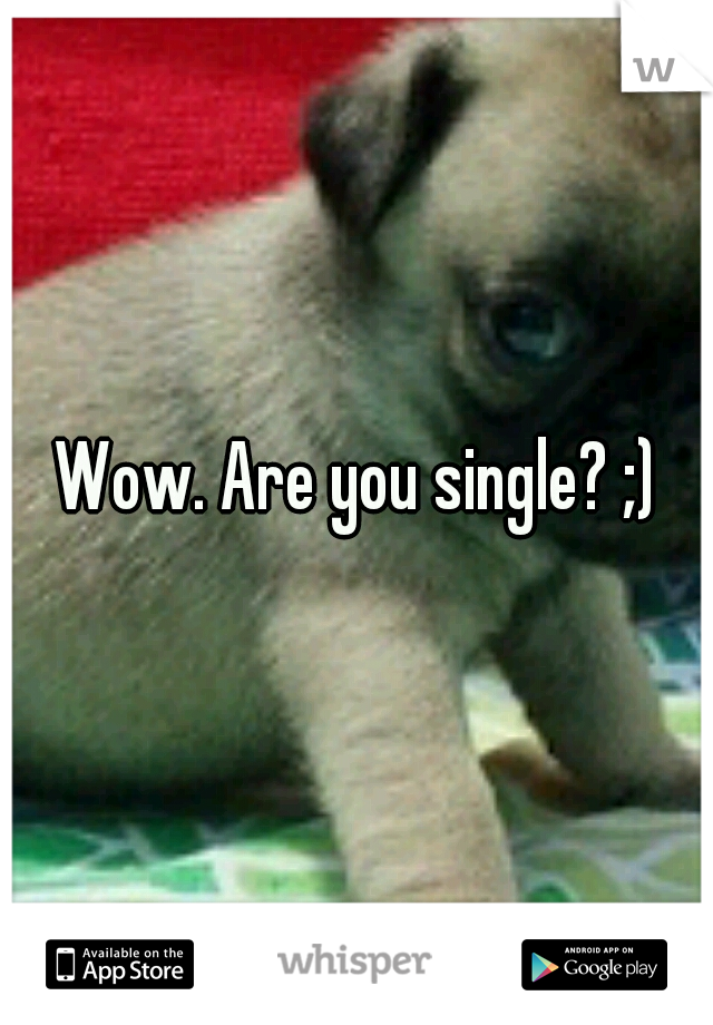 Wow. Are you single? ;)