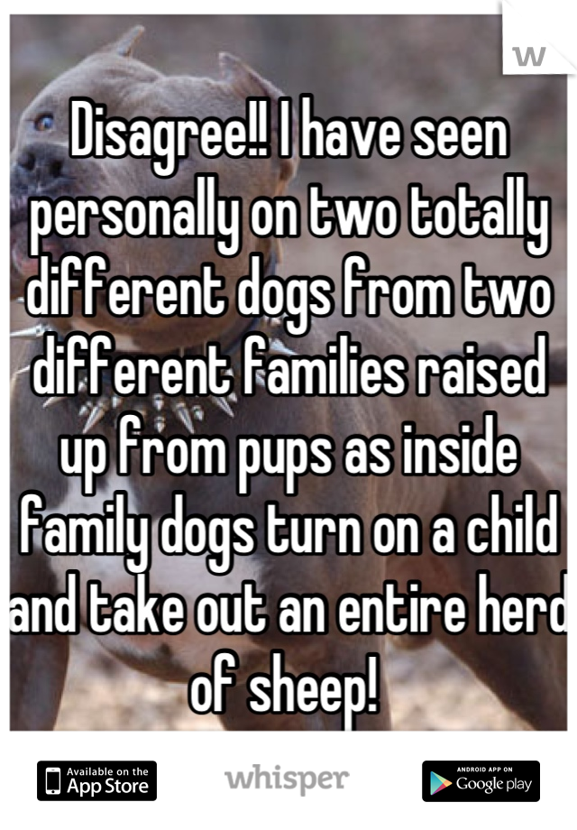 Disagree!! I have seen personally on two totally different dogs from two different families raised up from pups as inside family dogs turn on a child and take out an entire herd of sheep! 