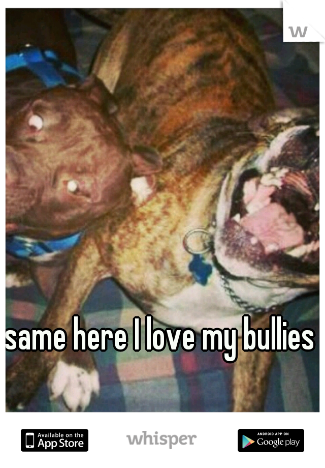 same here I love my bullies