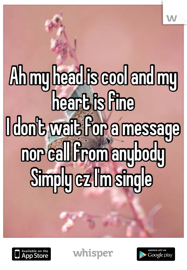 Ah my head is cool and my heart is fine 
I don't wait for a message nor call from anybody
Simply cz I'm single 