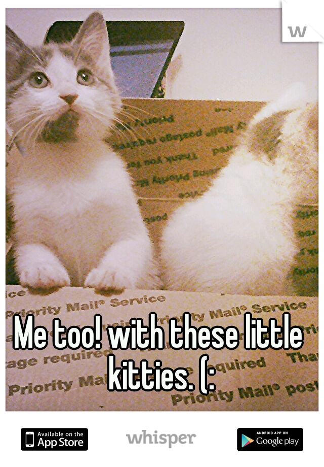 Me too! with these little kitties. (: