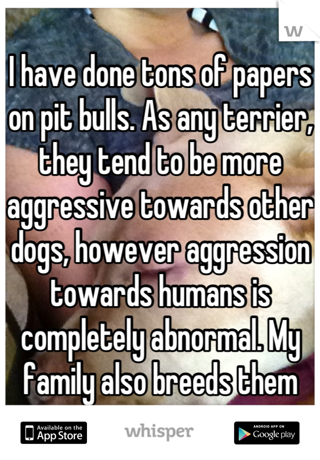 I have done tons of papers on pit bulls. As any terrier, they tend to be more aggressive towards other dogs, however aggression towards humans is completely abnormal. My family also breeds them