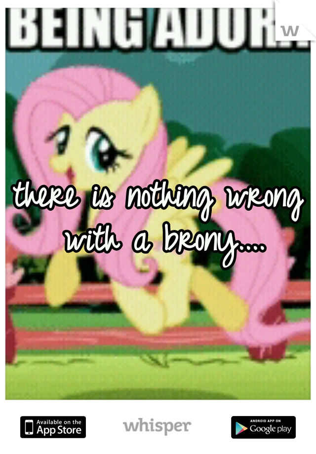 there is nothing wrong with a brony....