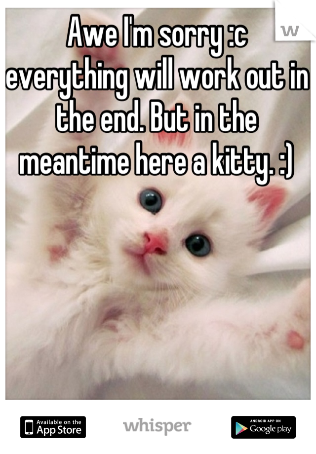 Awe I'm sorry :c everything will work out in the end. But in the meantime here a kitty. :)