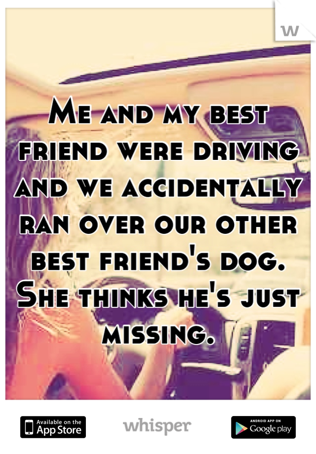Me and my best friend were driving and we accidentally ran over our other best friend's dog. She thinks he's just missing.
