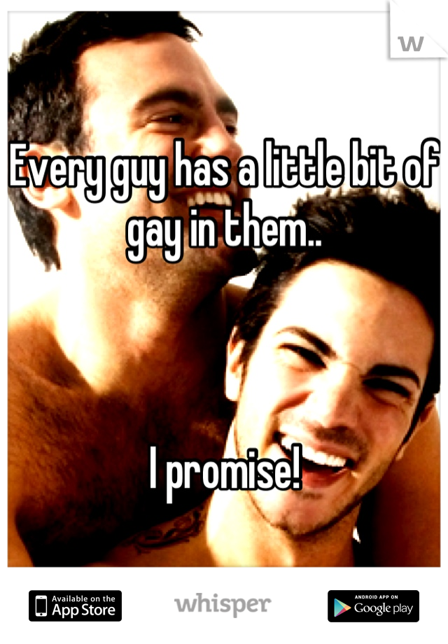 Every guy has a little bit of gay in them..



I promise!