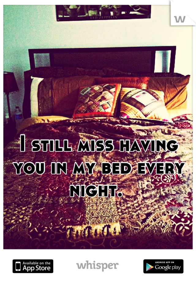 I still miss having you in my bed every night. 
