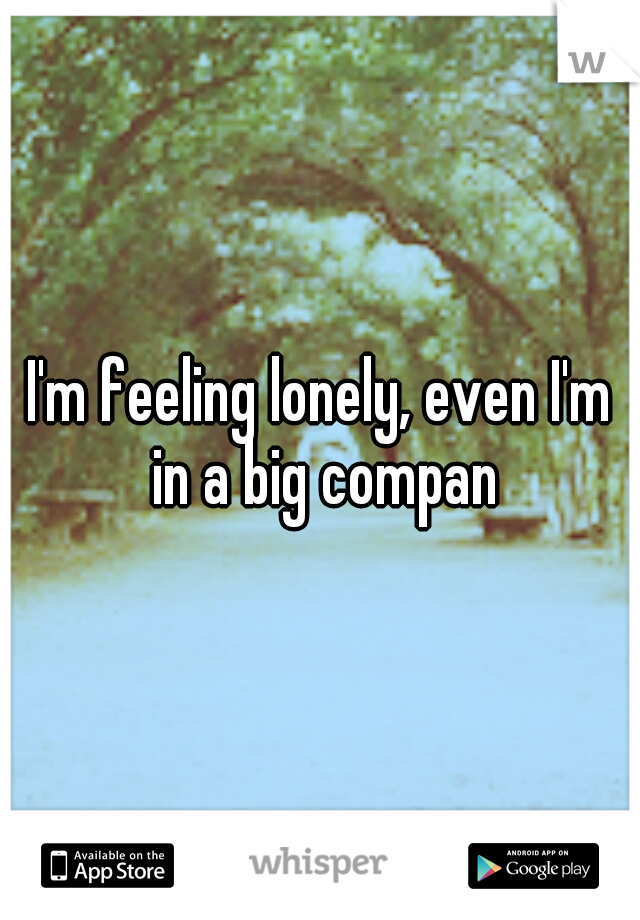 I'm feeling lonely, even I'm in a big compan