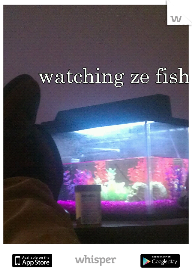 watching ze fish