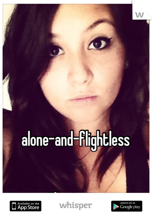 alone-and-flightless


That's me. 
