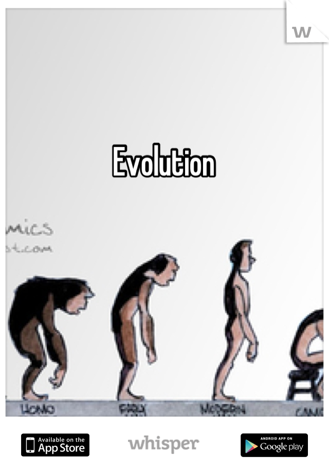 Evolution