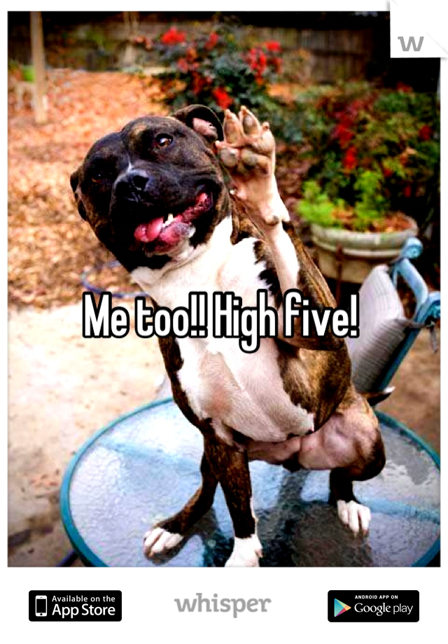 Me too!! High five! 