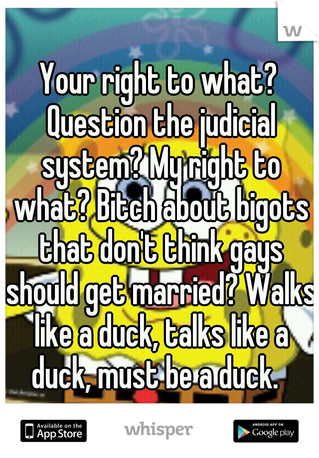 Your right to what? Question the judicial system? My right to what? Bitch about bigots that don't think gays should get married? Walks like a duck, talks like a duck, must be a duck.  