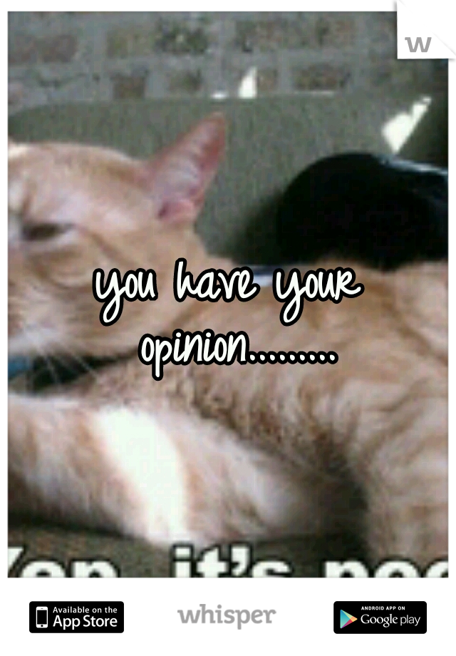 you have your opinion.........