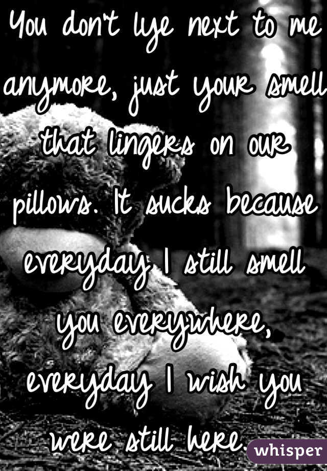 You don't lye next to me anymore, just your smell that lingers on our pillows. It sucks because everyday I still smell you everywhere, everyday I wish you were still here.  