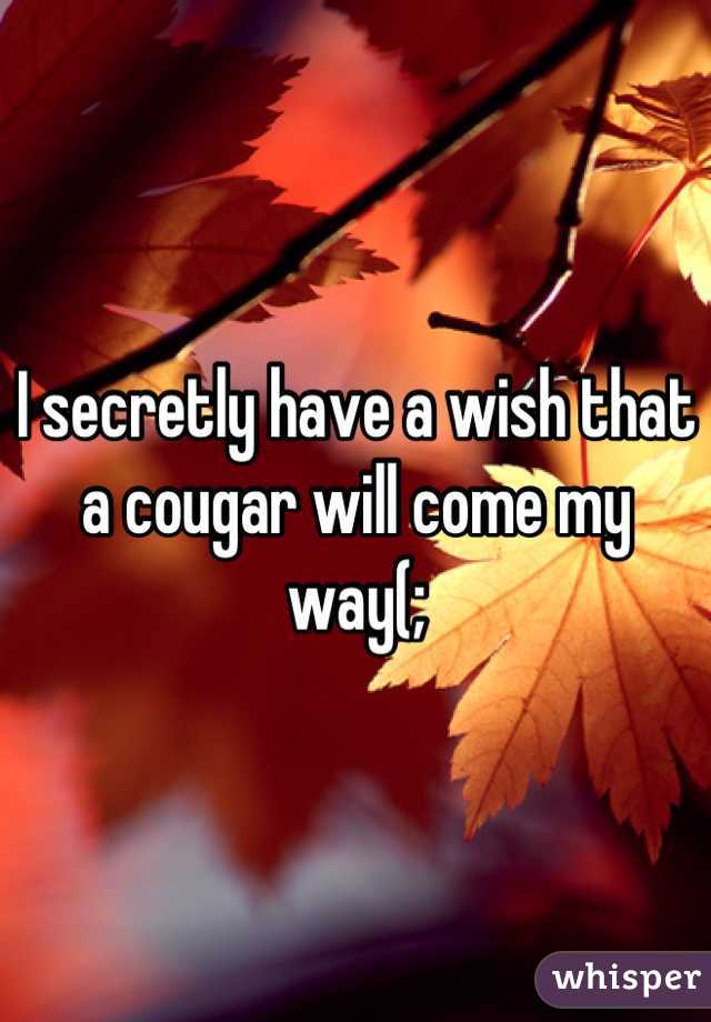 I secretly have a wish that a cougar will come my way(;