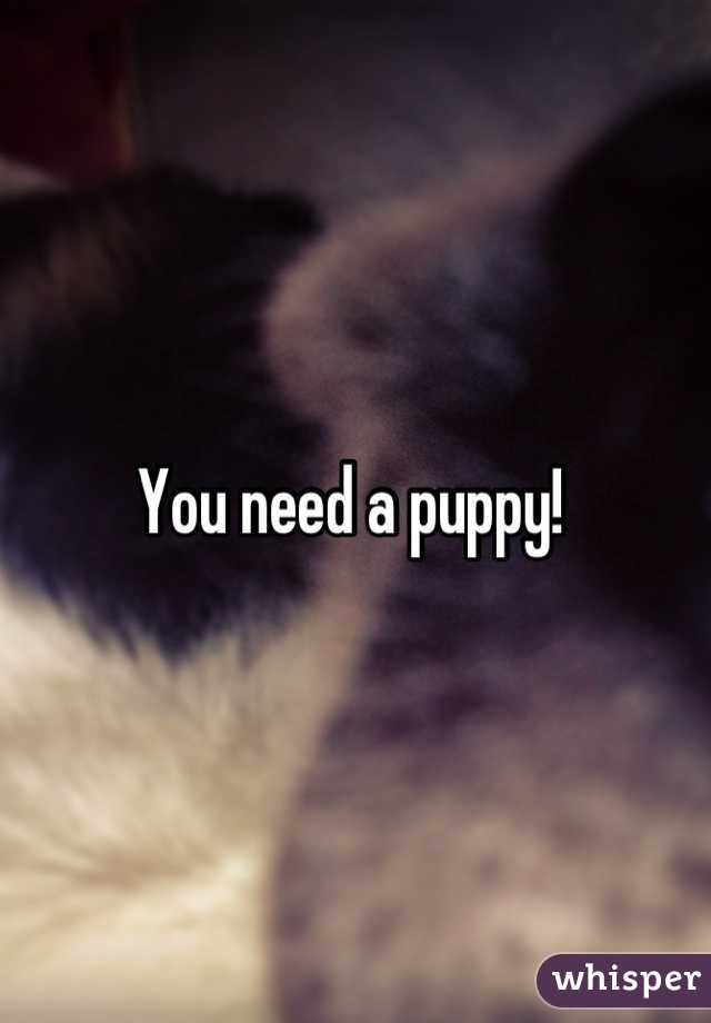 You need a puppy! 