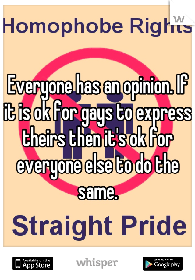 Everyone has an opinion. If it is ok for gays to express theirs then it's ok for everyone else to do the same.