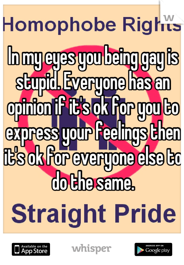 In my eyes you being gay is stupid. Everyone has an opinion if it's ok for you to express your feelings then it's ok for everyone else to do the same.