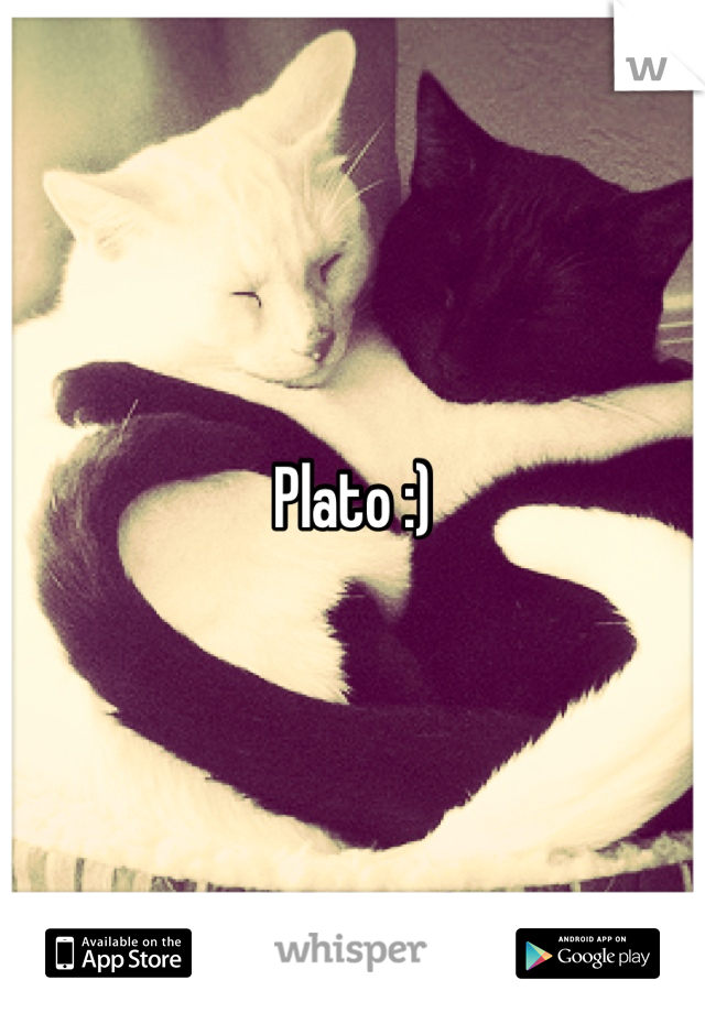 Plato :)
