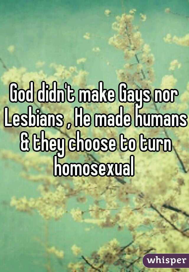 God didn't make Gays nor Lesbians , He made humans & they choose to turn homosexual 