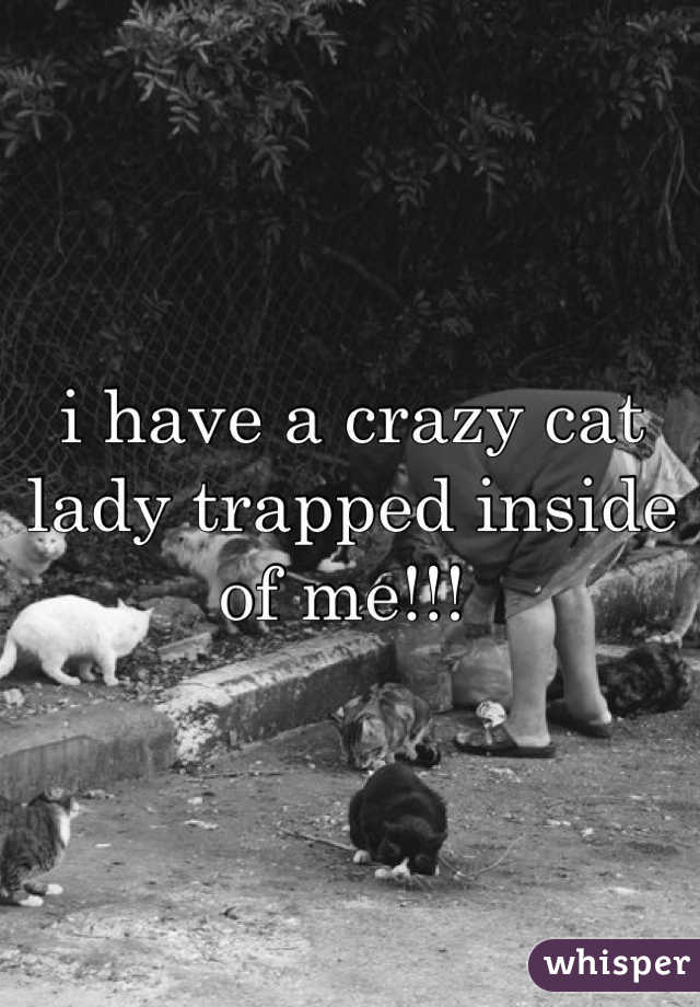 i have a crazy cat lady trapped inside of me!!! 