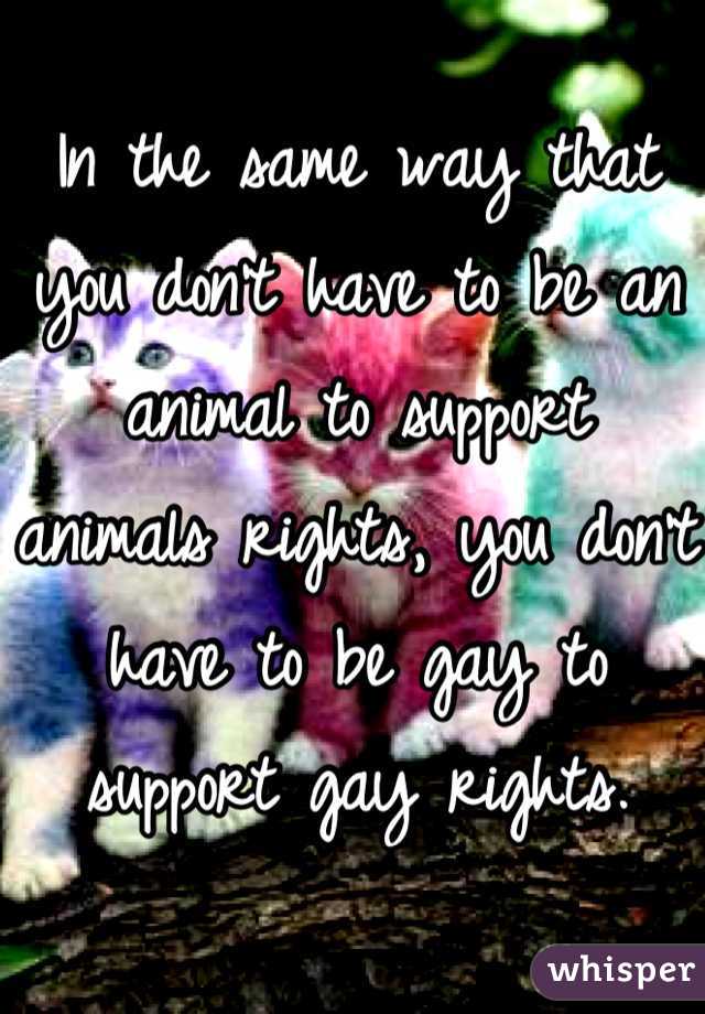 In the same way that you don't have to be an animal to support animals rights, you don't have to be gay to support gay rights.