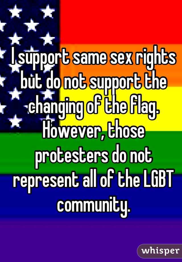 I support same sex rights but do not support the changing of the flag. However, those protesters do not represent all of the LGBT community.