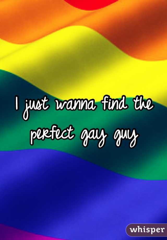 I just wanna find the perfect gay guy