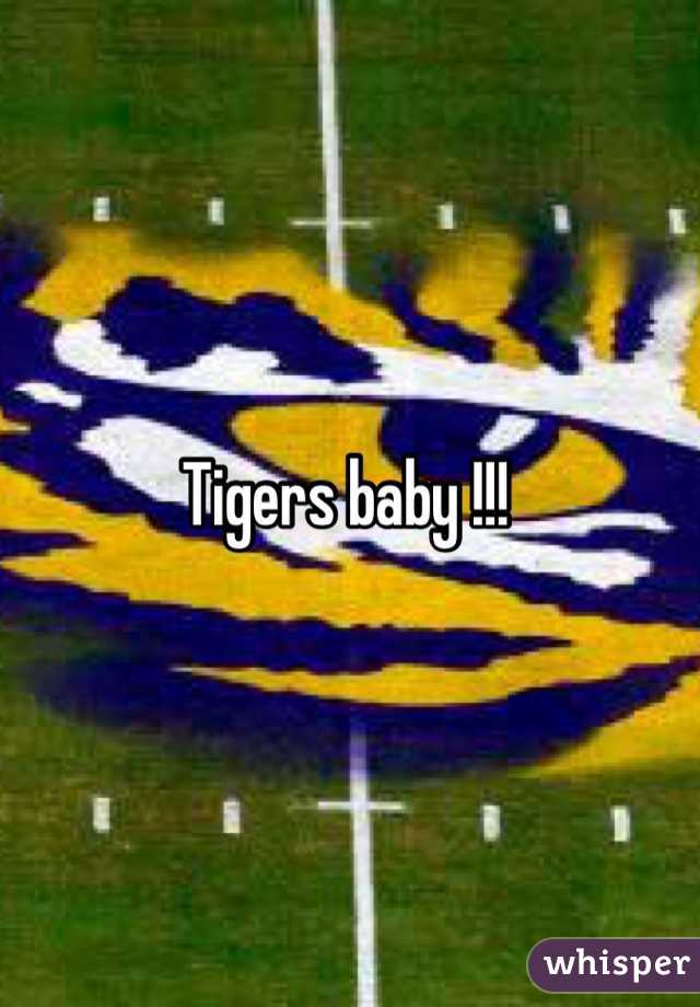 Tigers baby !!! 