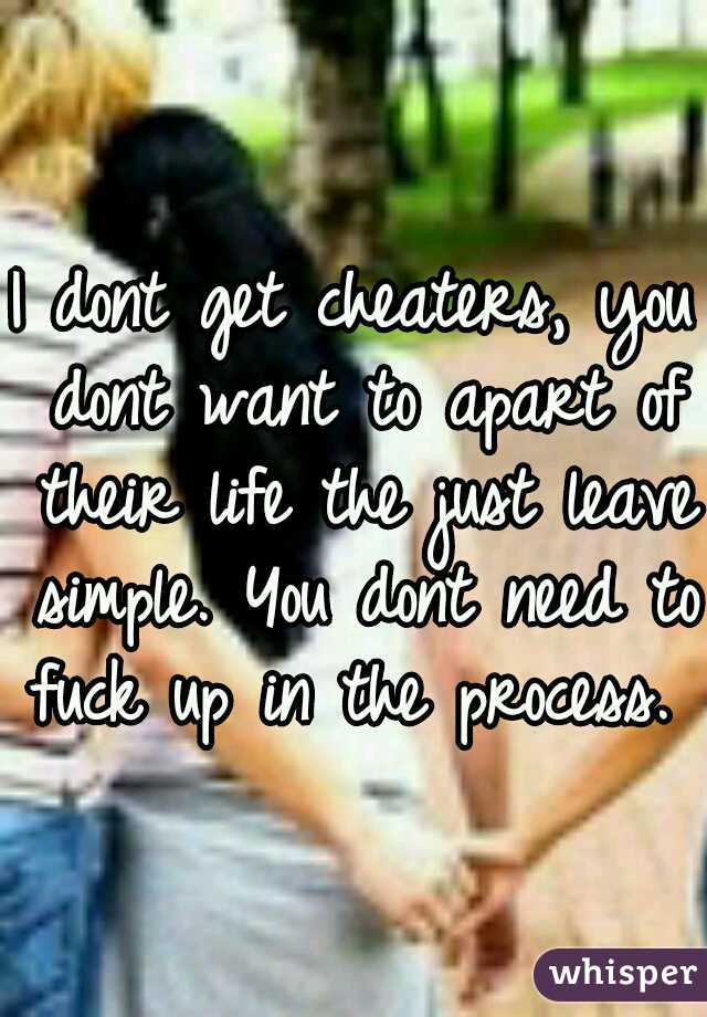 I dont get cheaters, you dont want to apart of their life the just leave simple. You dont need to fuck up in the process. 