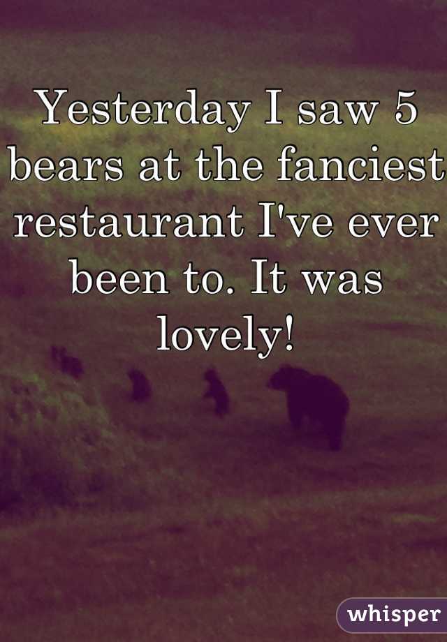 Yesterday I saw 5 bears at the fanciest restaurant I've ever been to. It was lovely!