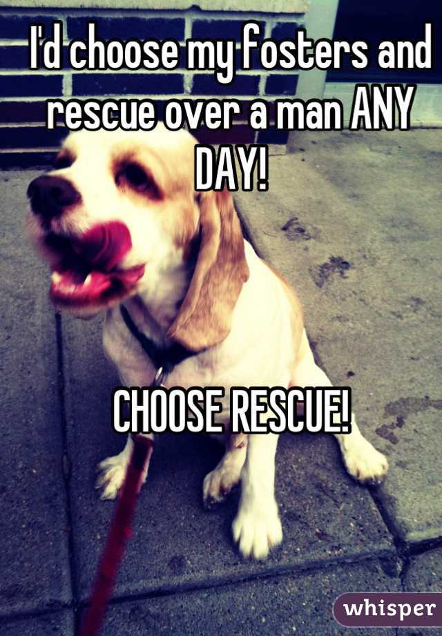 I'd choose my fosters and rescue over a man ANY DAY! 



CHOOSE RESCUE!