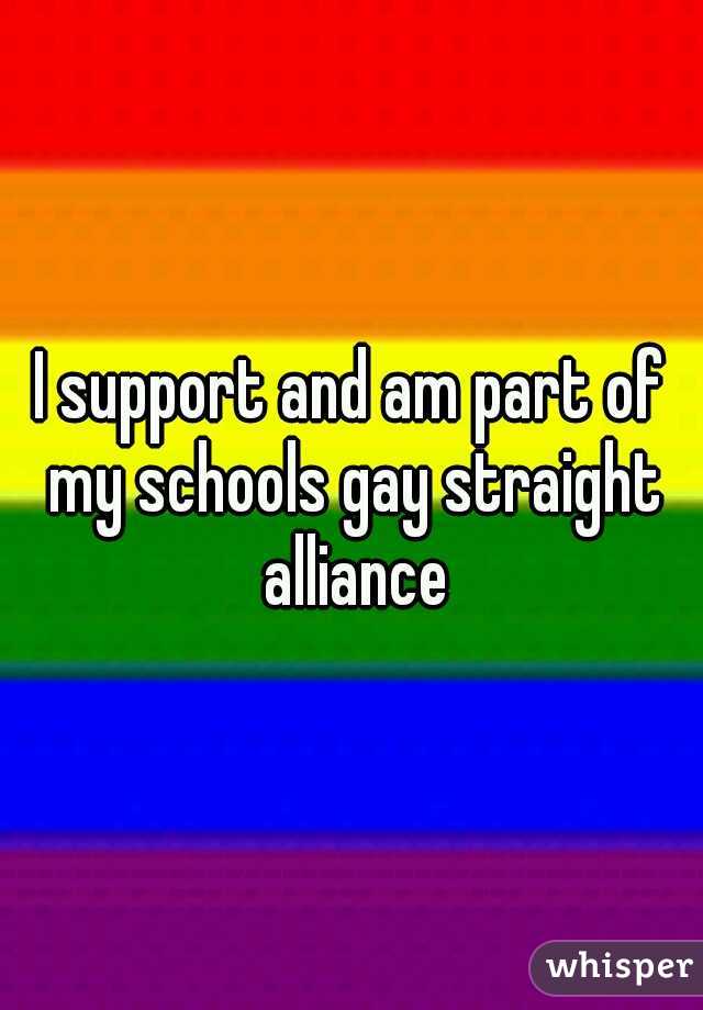 I support and am part of my schools gay straight alliance