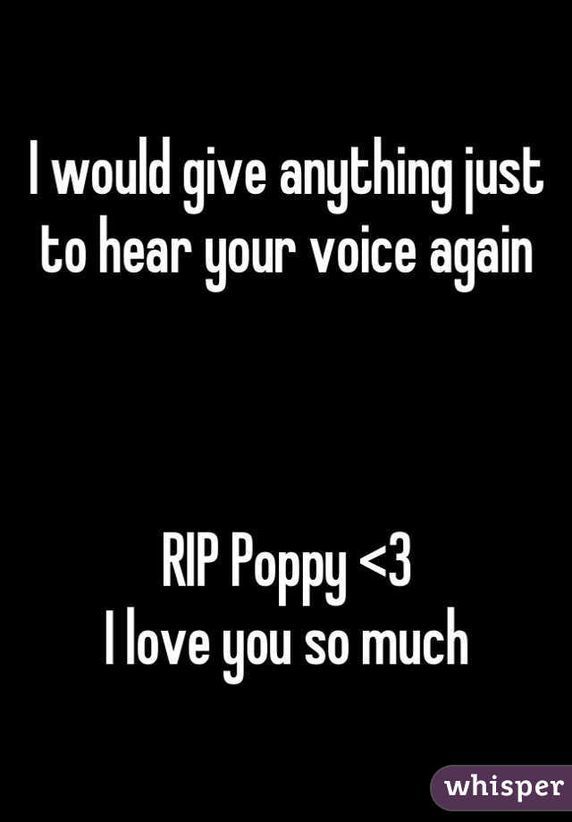 I would give anything just to hear your voice again



RIP Poppy <3 
I love you so much