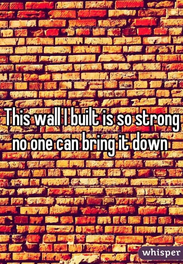 This wall I built is so strong no one can bring it down 
