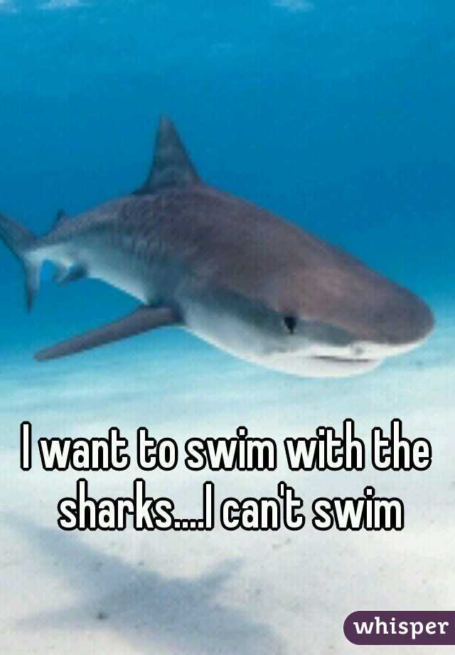 I want to swim with the sharks....I can't swim