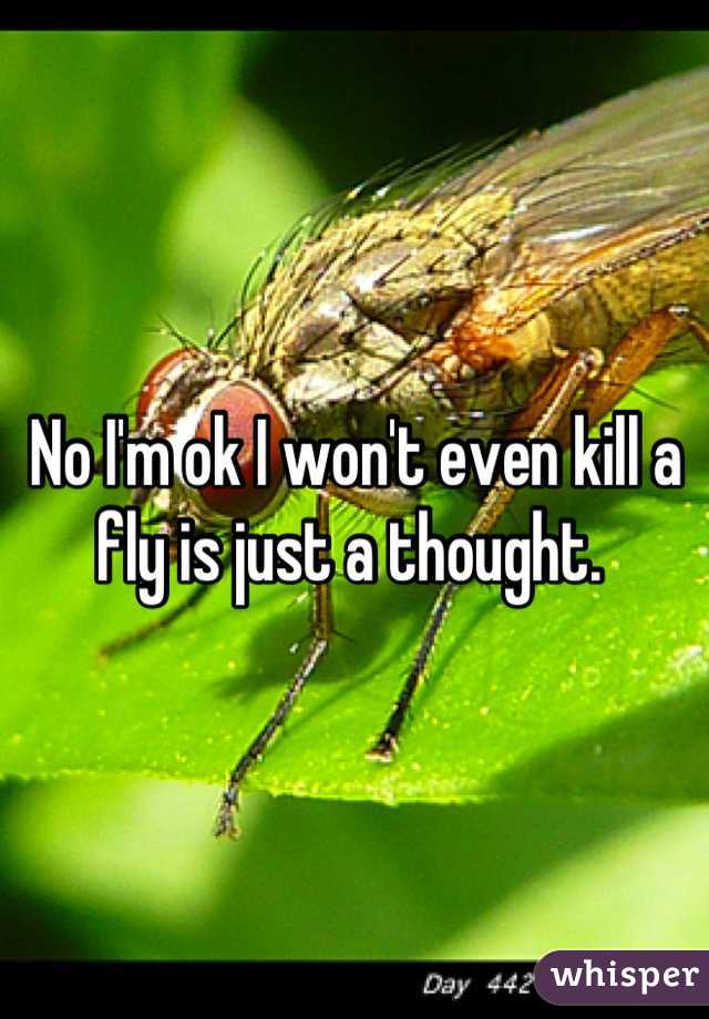 No I'm ok I won't even kill a fly is just a thought. 