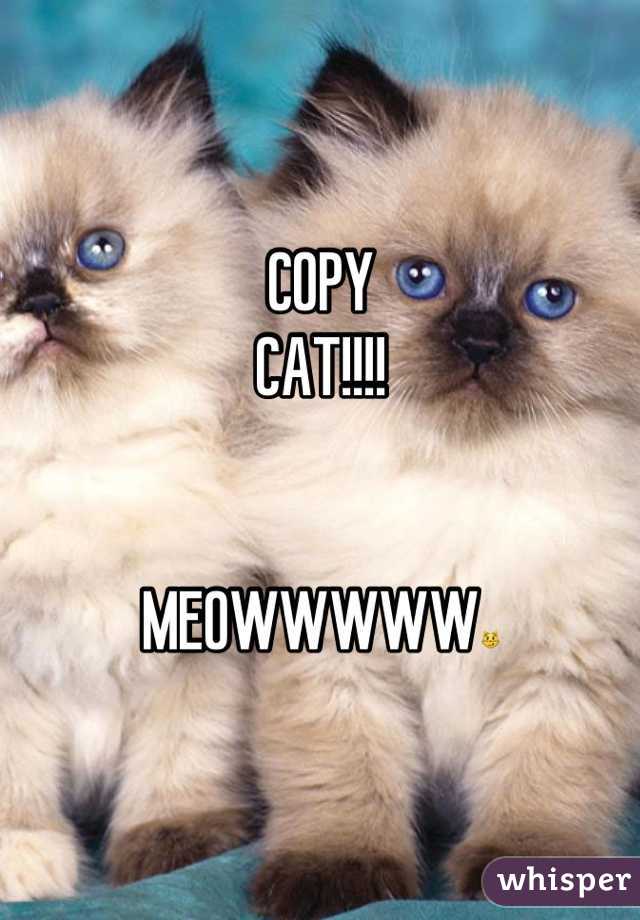 COPY
CAT!!!!


MEOWWWWW😼