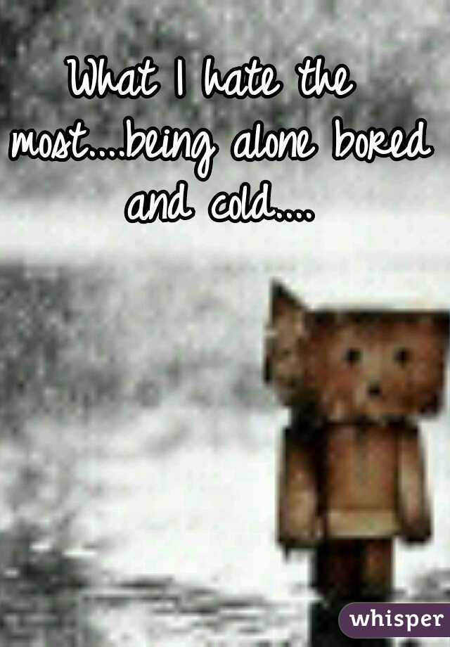 What I hate the most....being alone bored and cold....